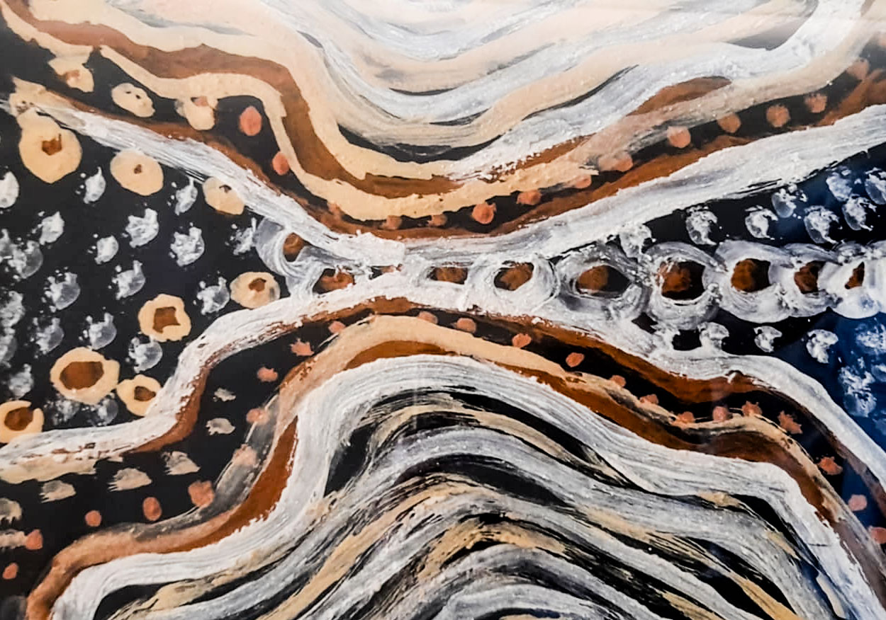 NRCG Images NAIDOC Elders Exhibition