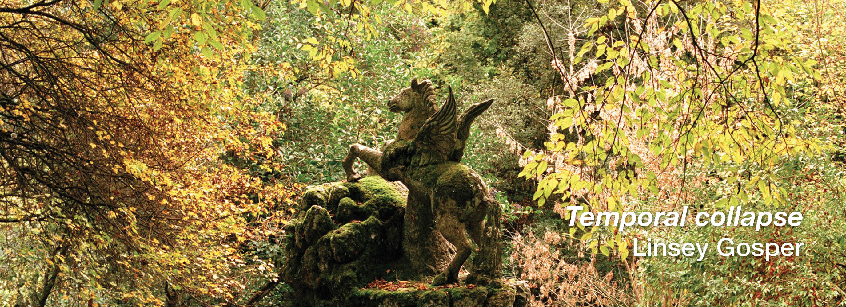 NRCG Web Social Media Linsey Gosper 2026 FULL.jpg